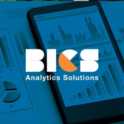 Bics project cover