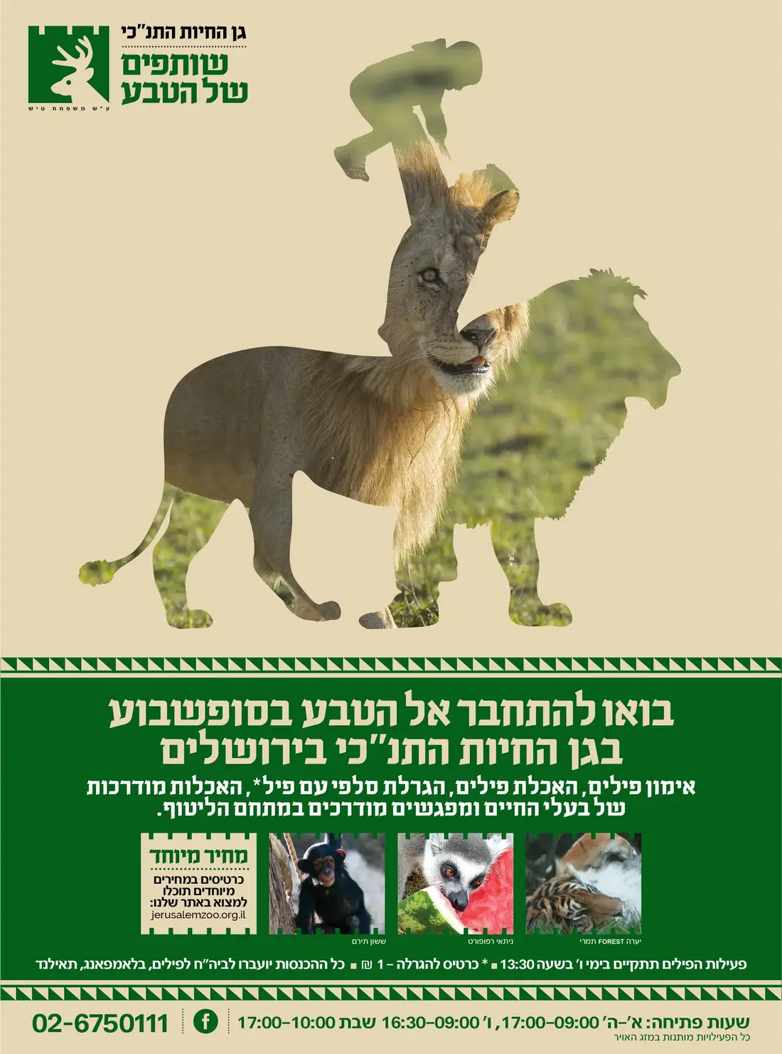 Jerusalem Biblical Zoo — Wildlife Campaign artwork