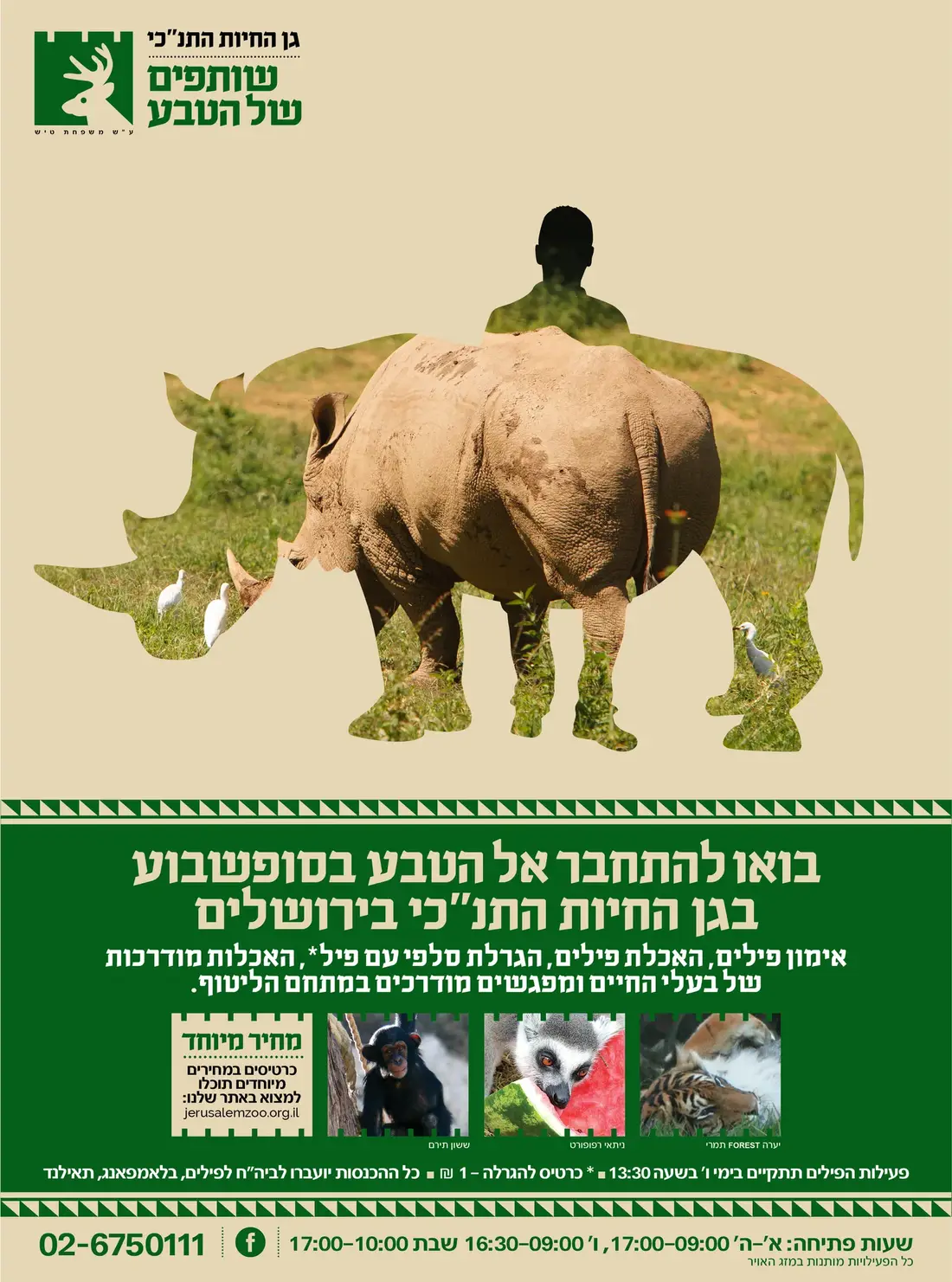 Jerusalem Biblical Zoo — Wildlife Campaign artwork