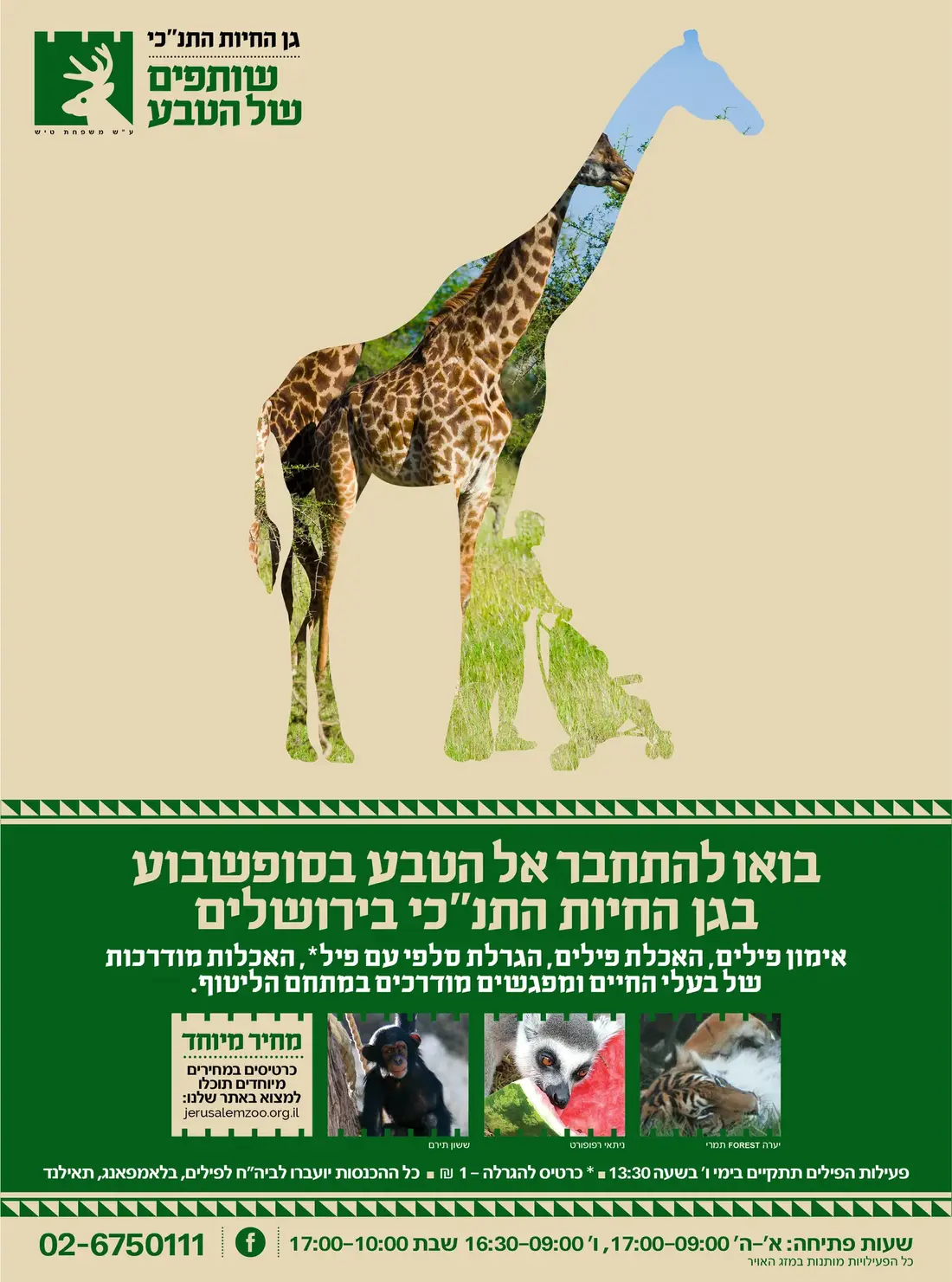 Jerusalem Biblical Zoo — Wildlife Campaign artwork