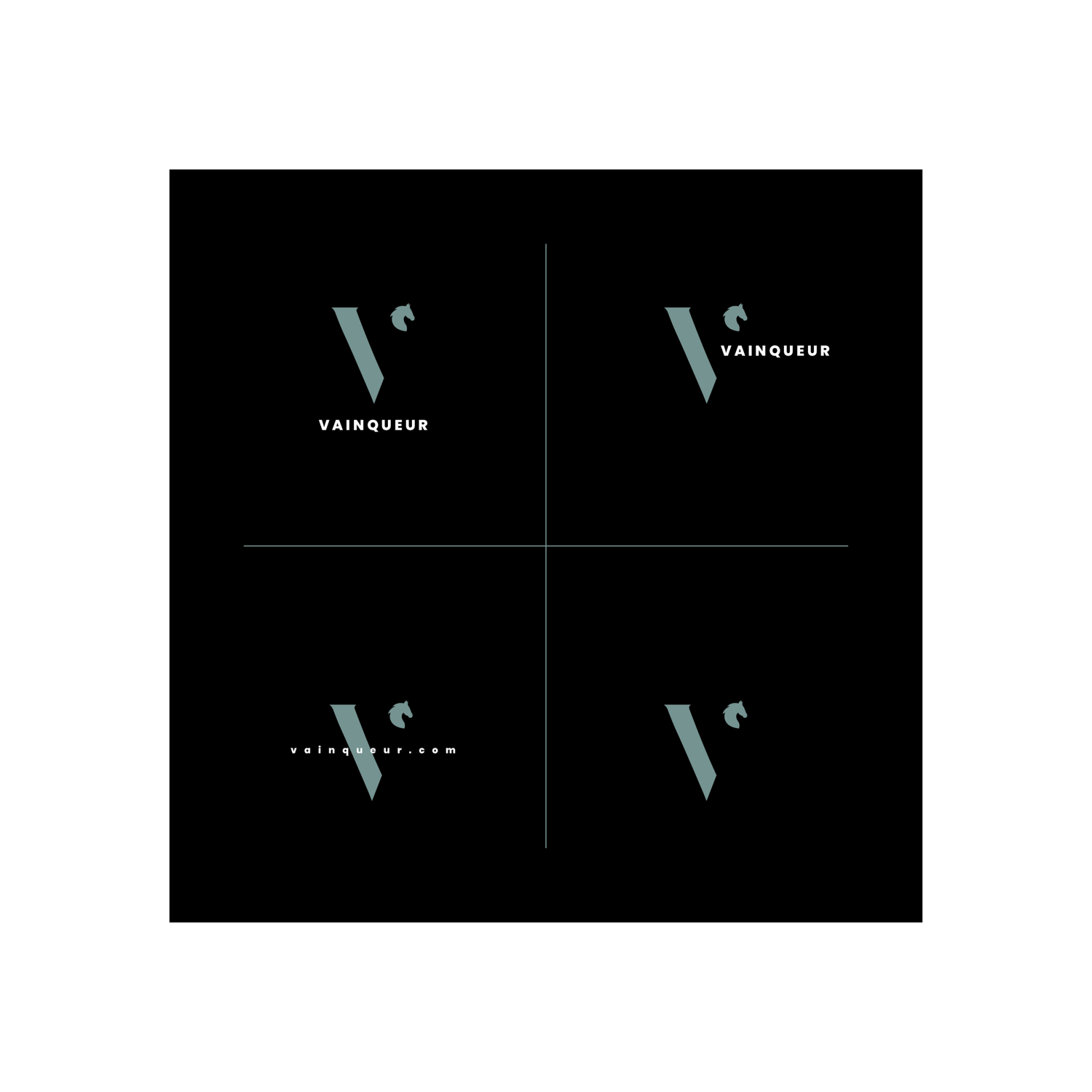 Vainqueur project image