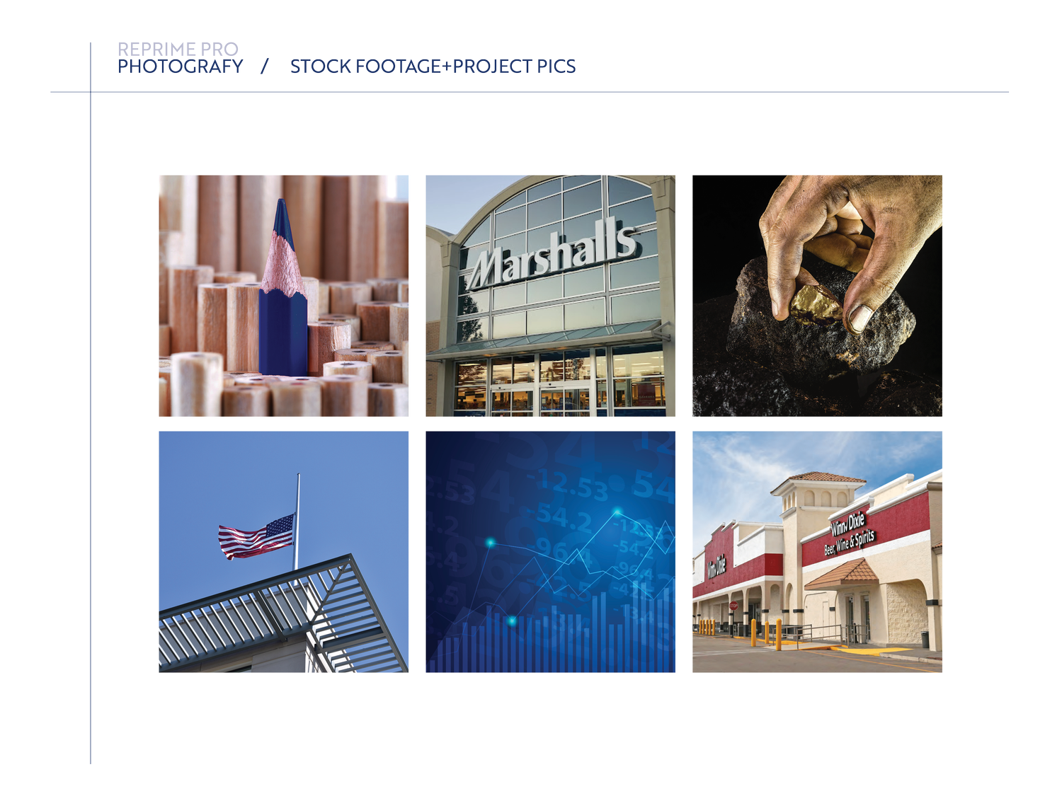 ReprimePro project image