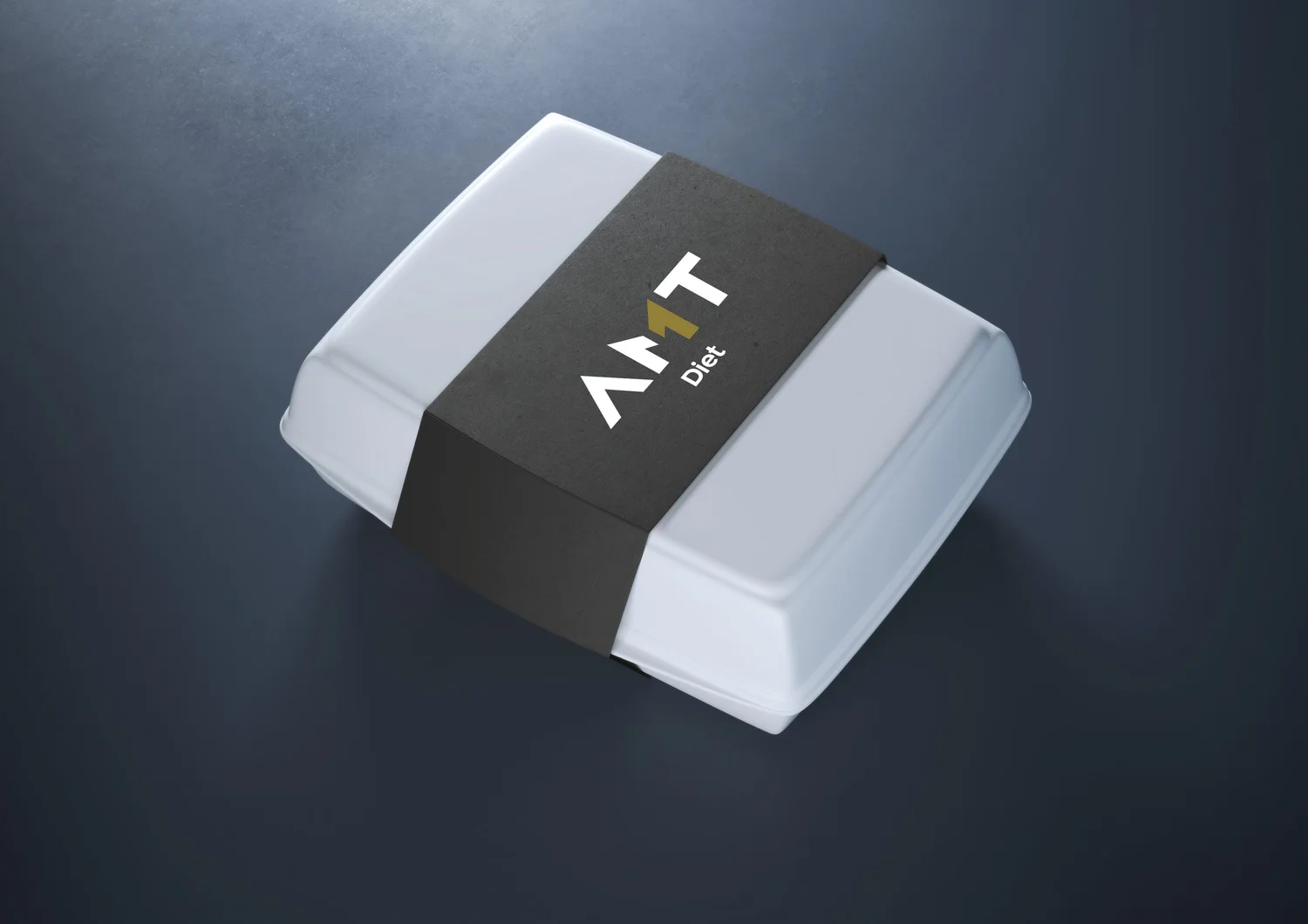 AMT project image