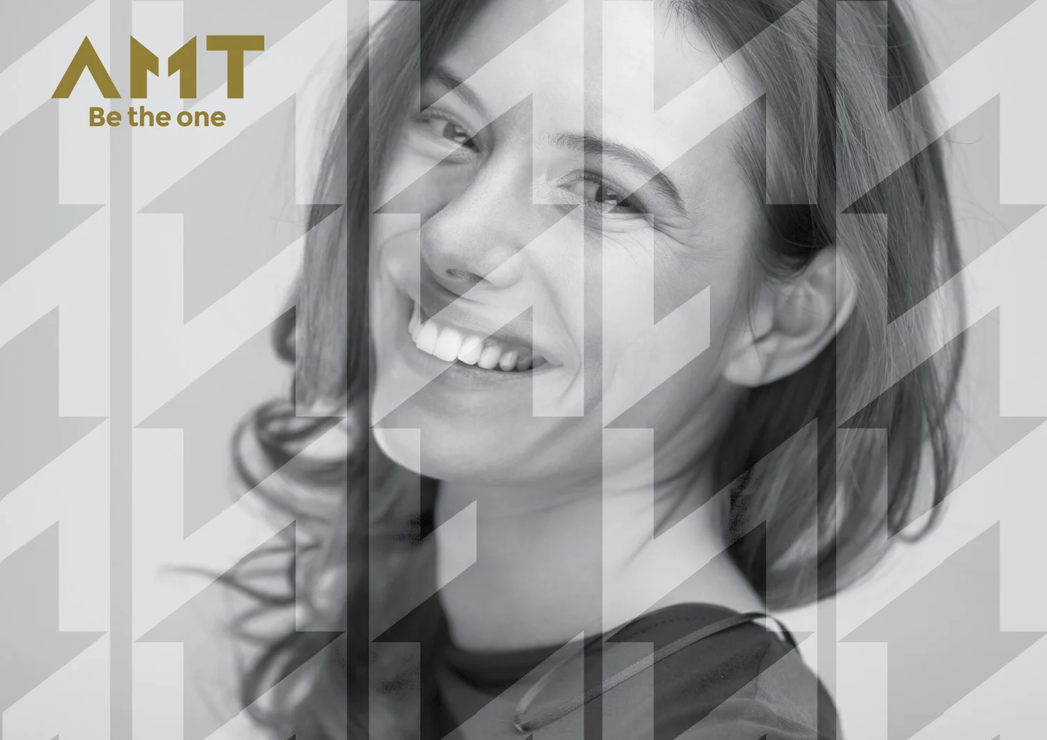 AMT project image