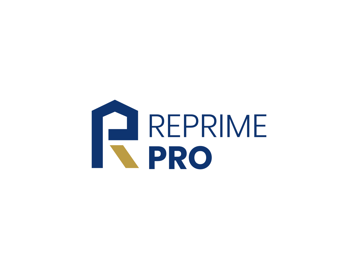 ReprimePro project image