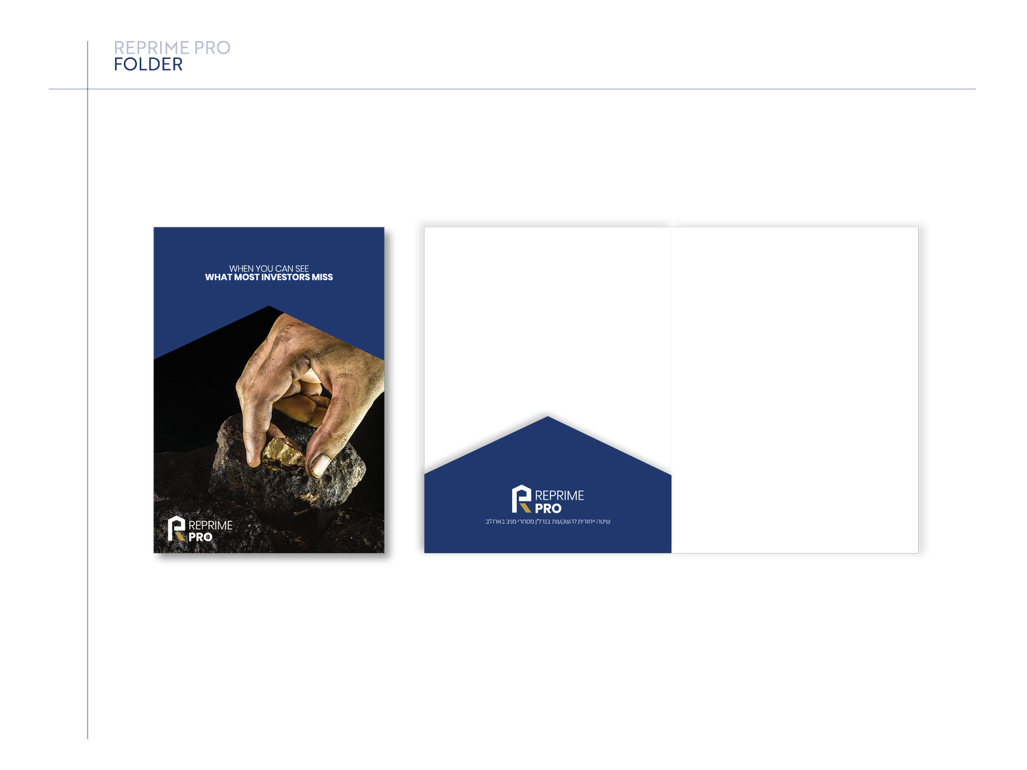 ReprimePro project image