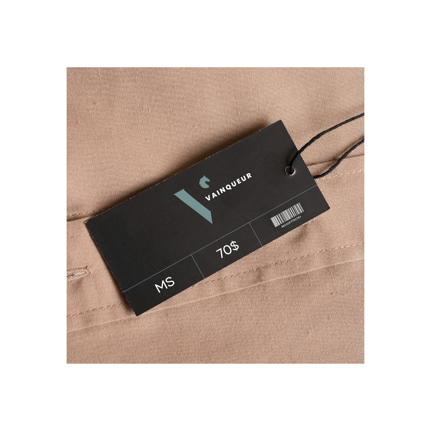 Vainqueur project image