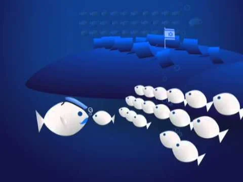 Video 6