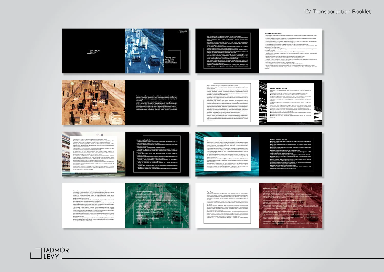Tadmor Levy project image