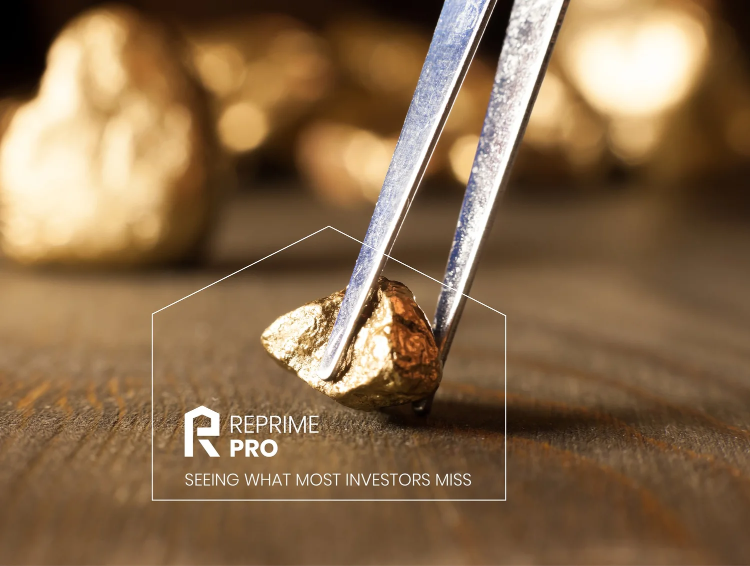 ReprimePro project image