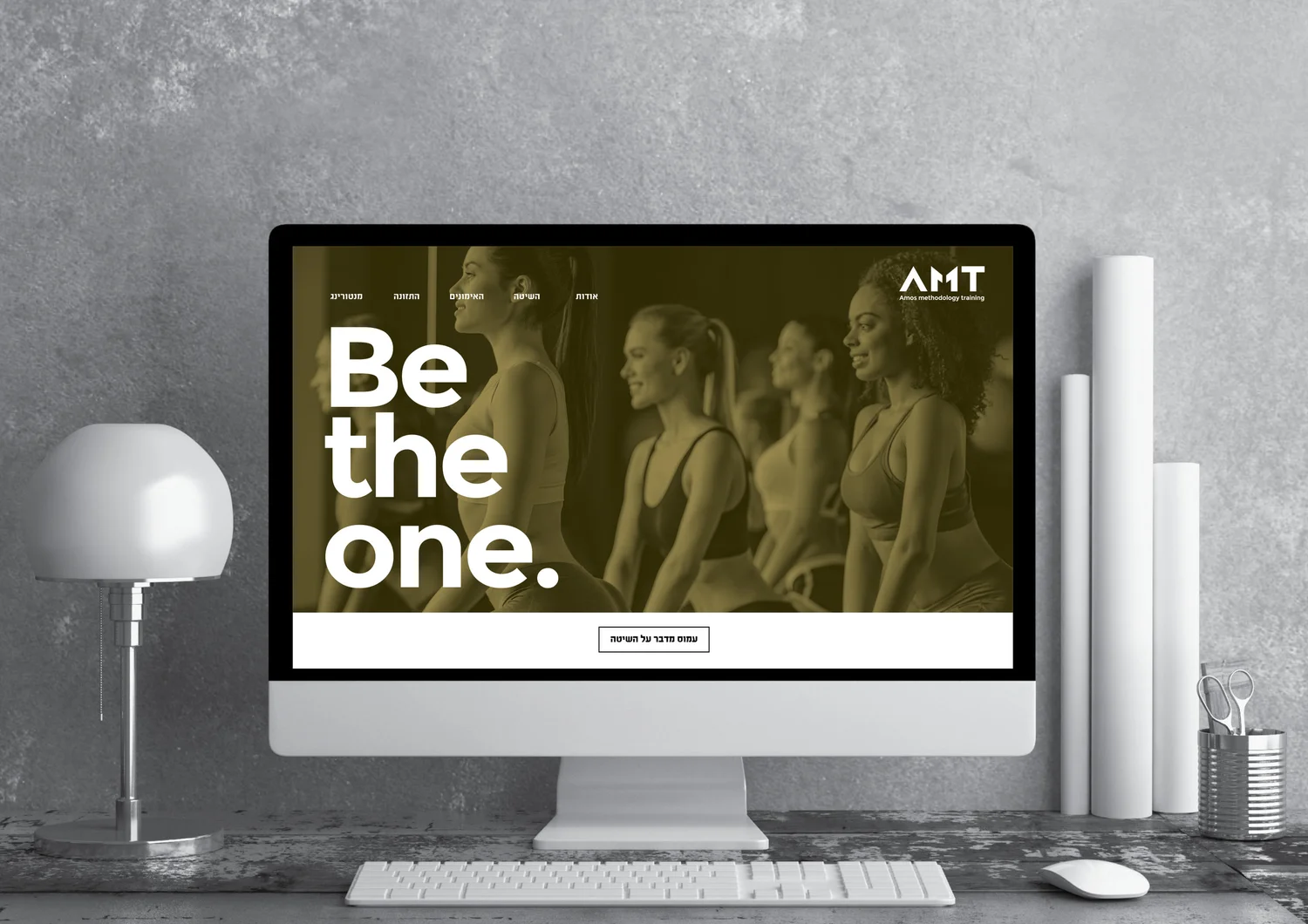 AMT project image