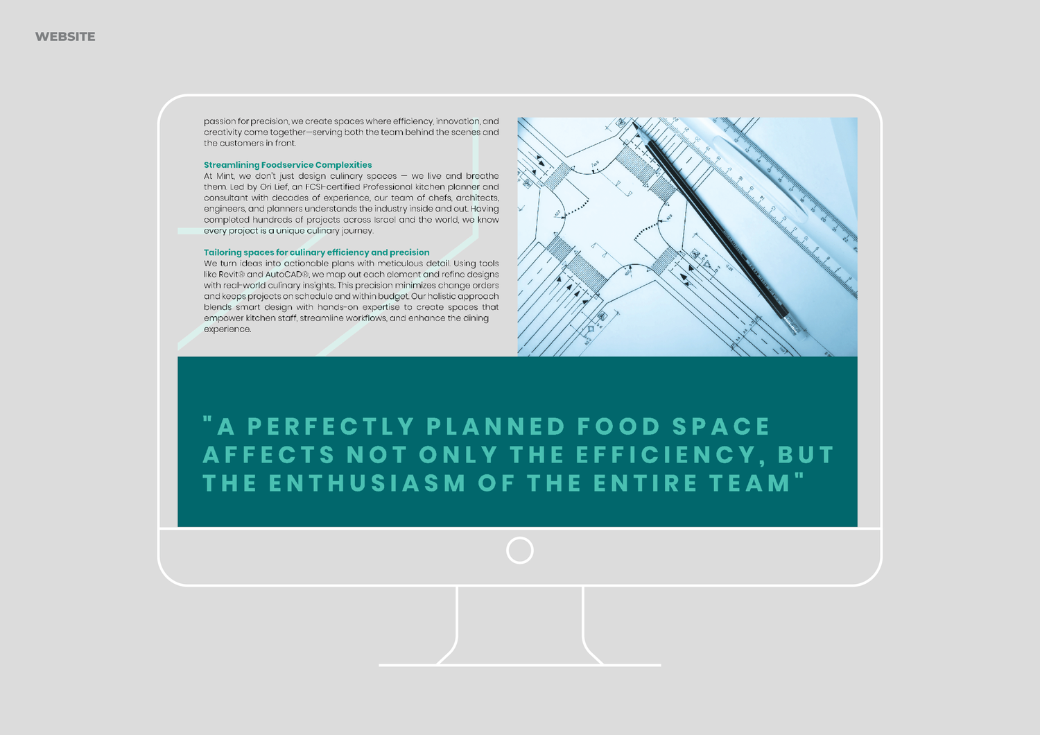 MINT project image