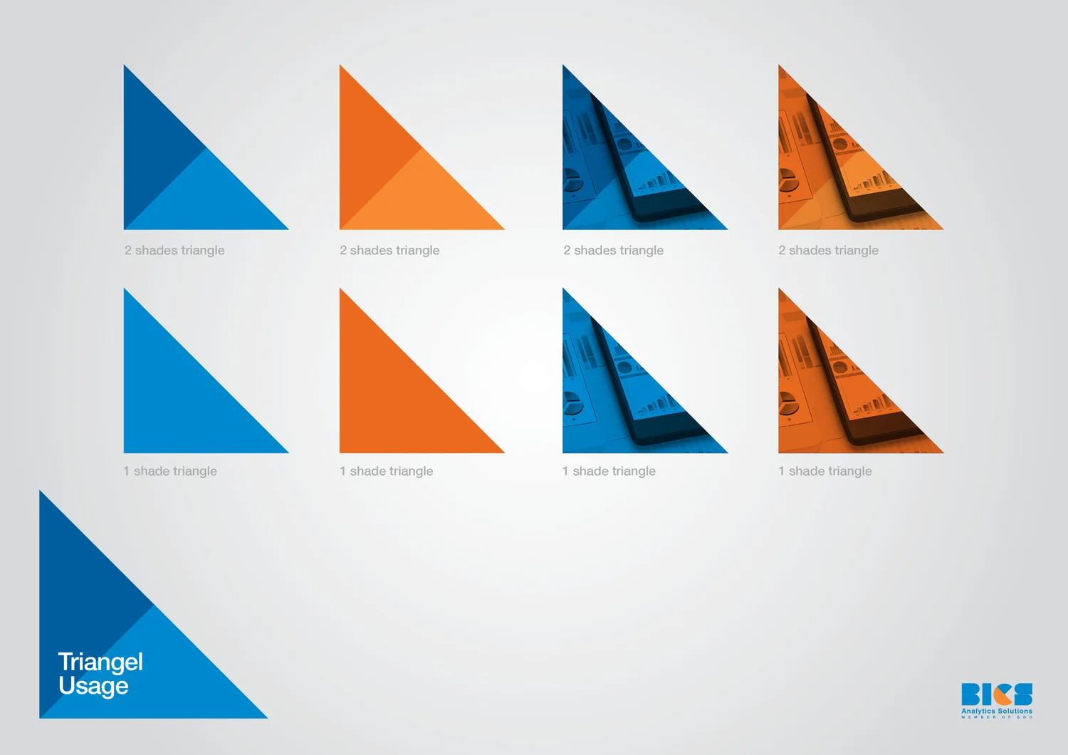 BICS project image