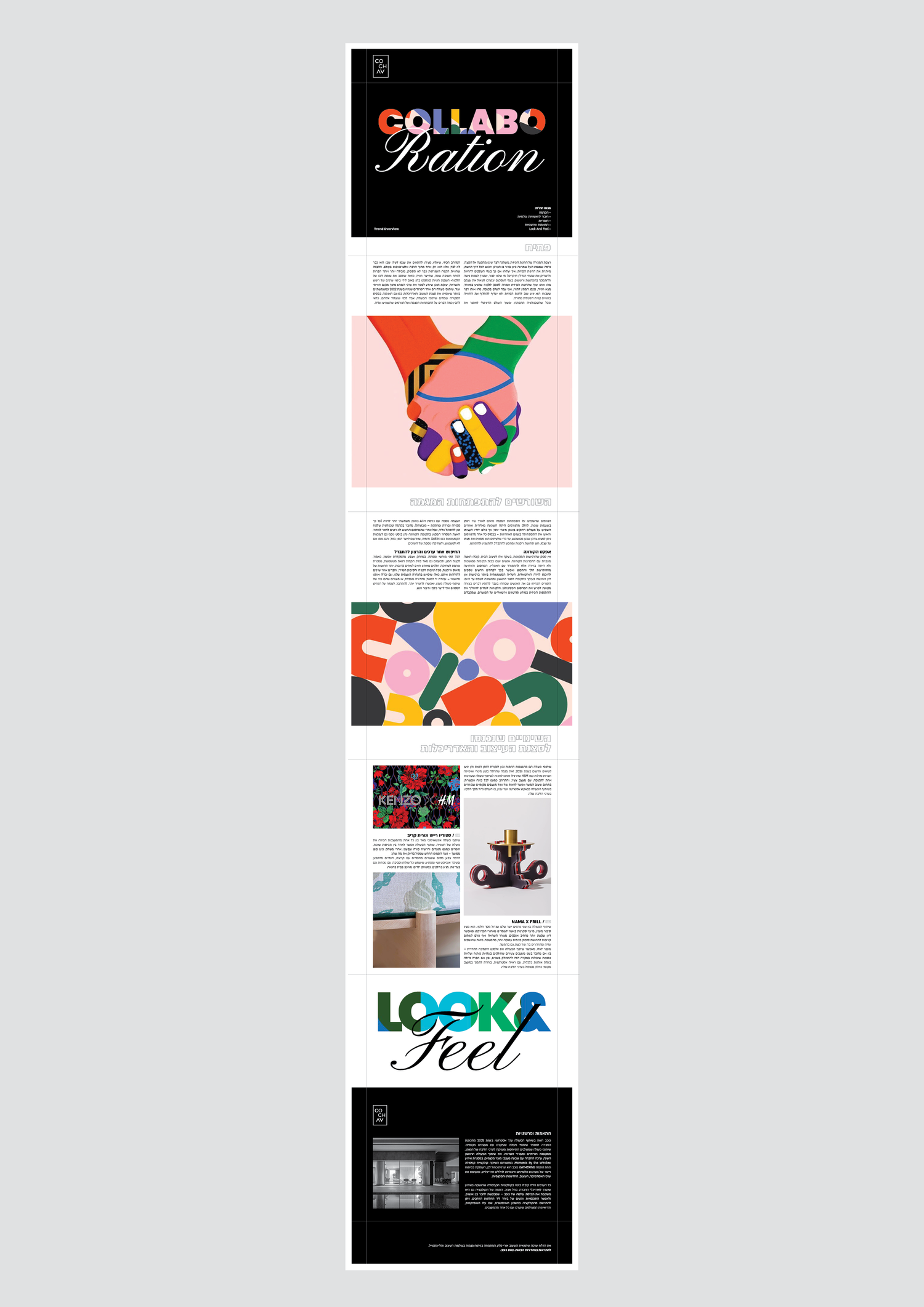 cochav project image