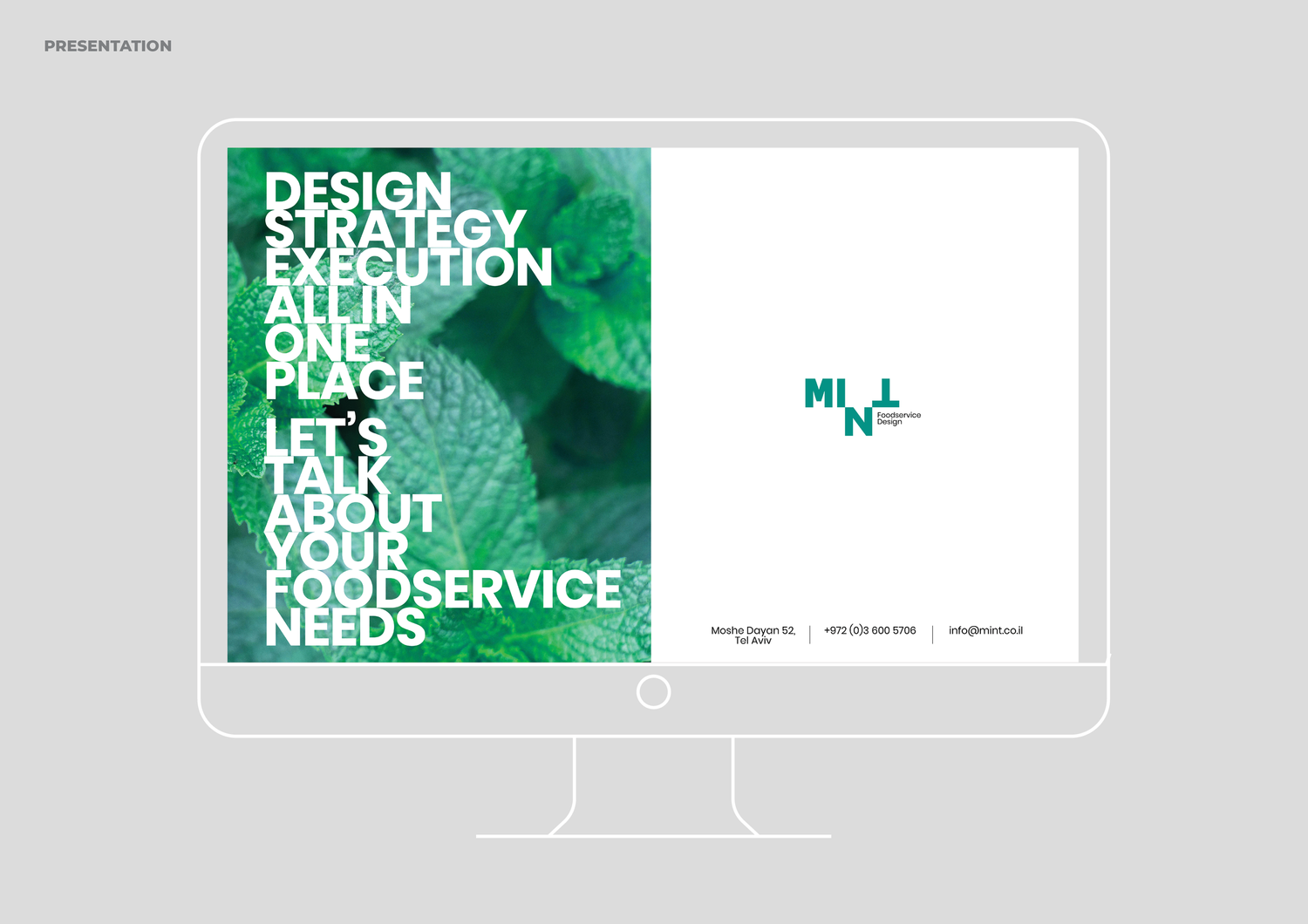 MINT project image