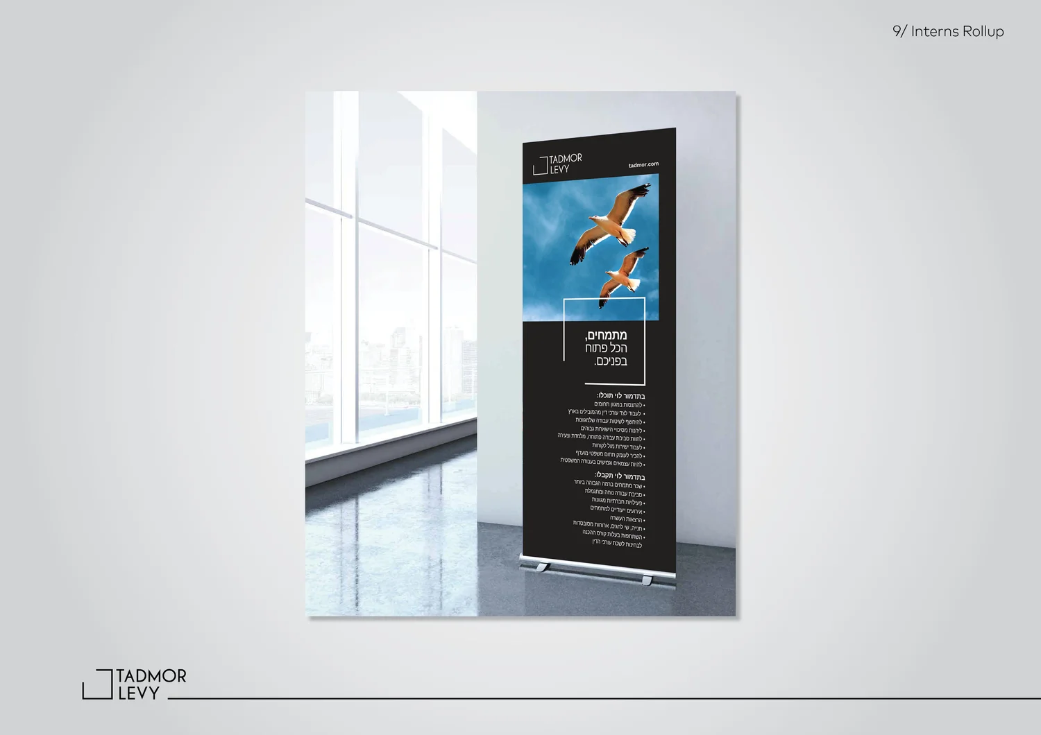 Tadmor Levy project image