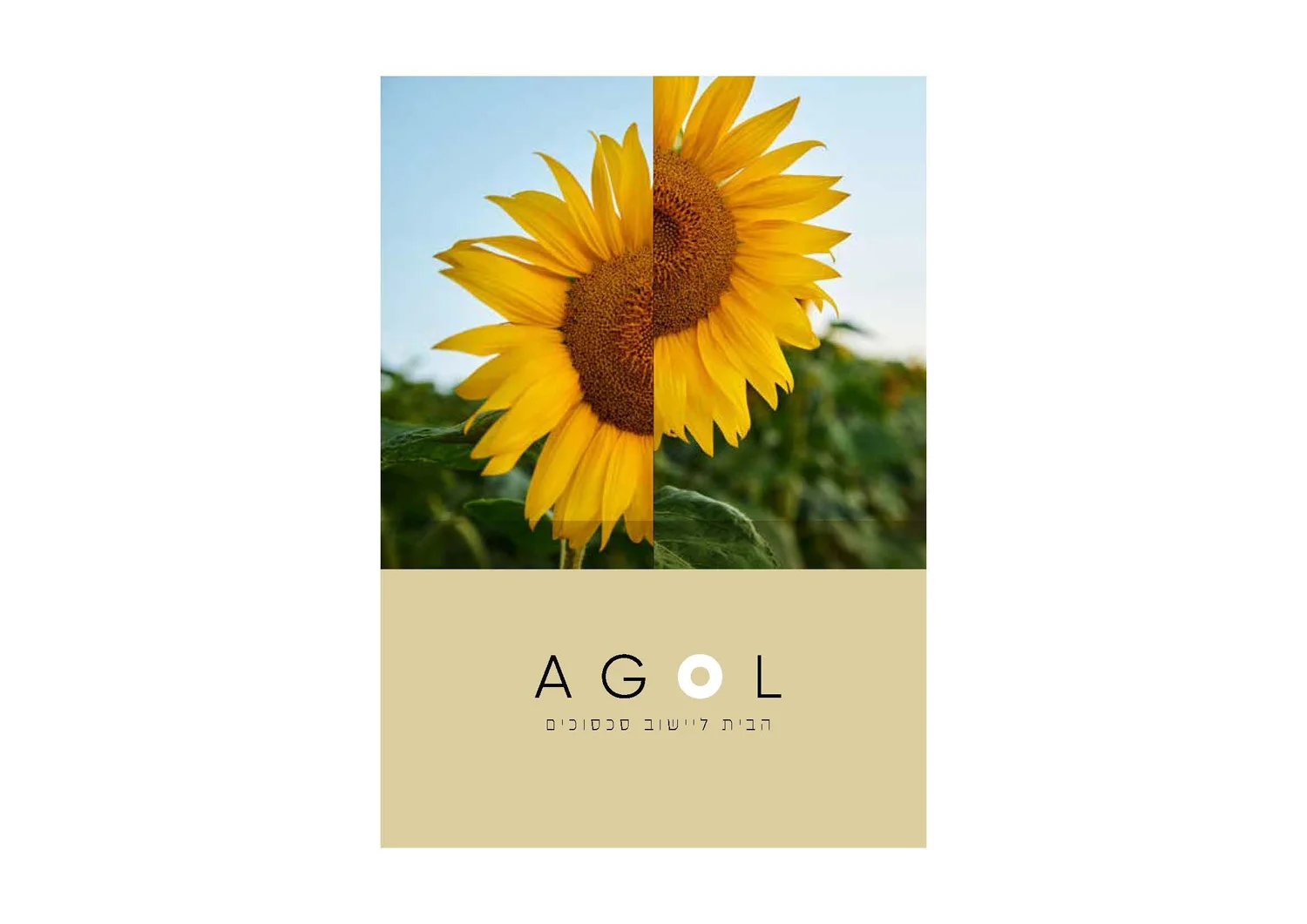 Agol project image