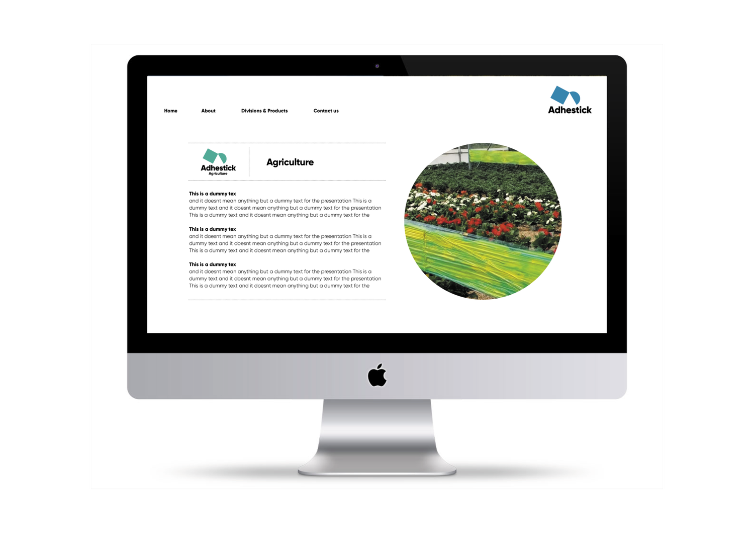 Adhestick project image
