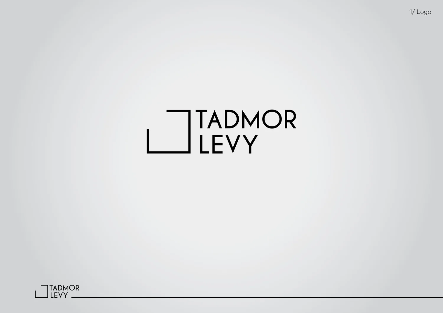 Tadmor Levy project image