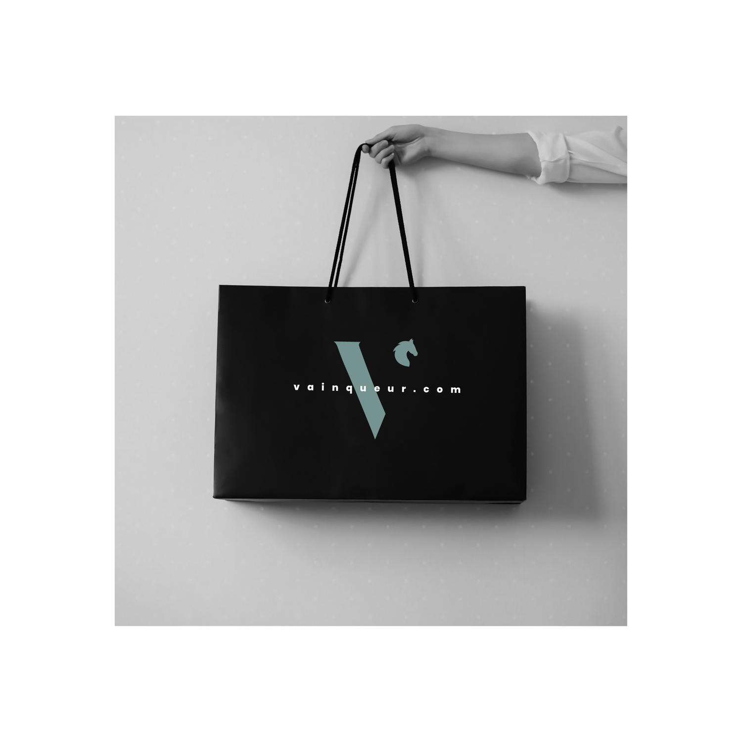 Vainqueur project image