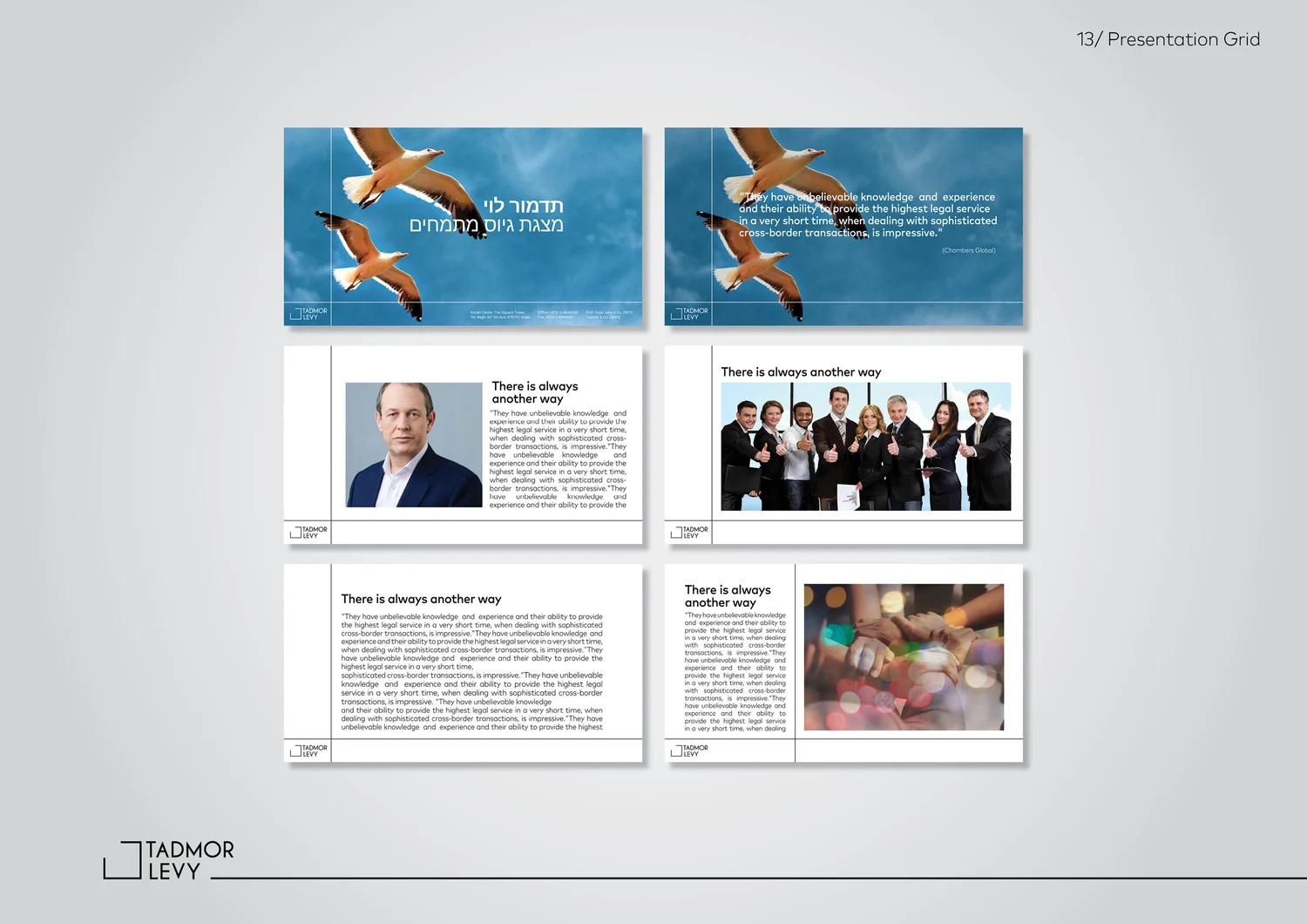 Tadmor Levy project image