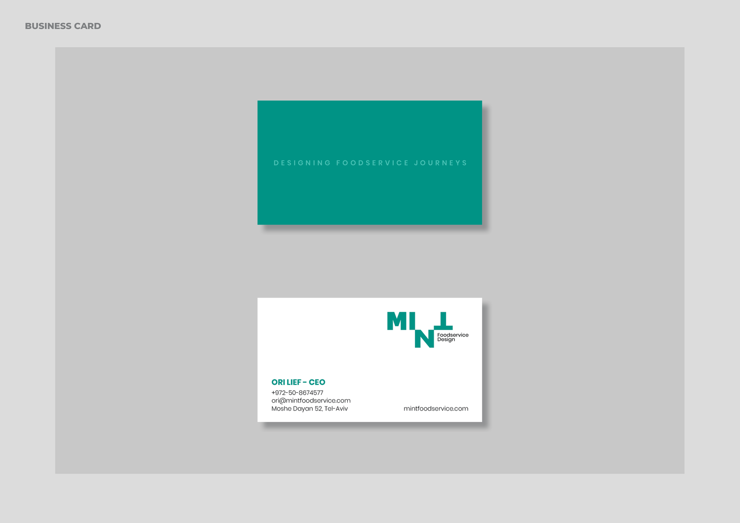 MINT project image