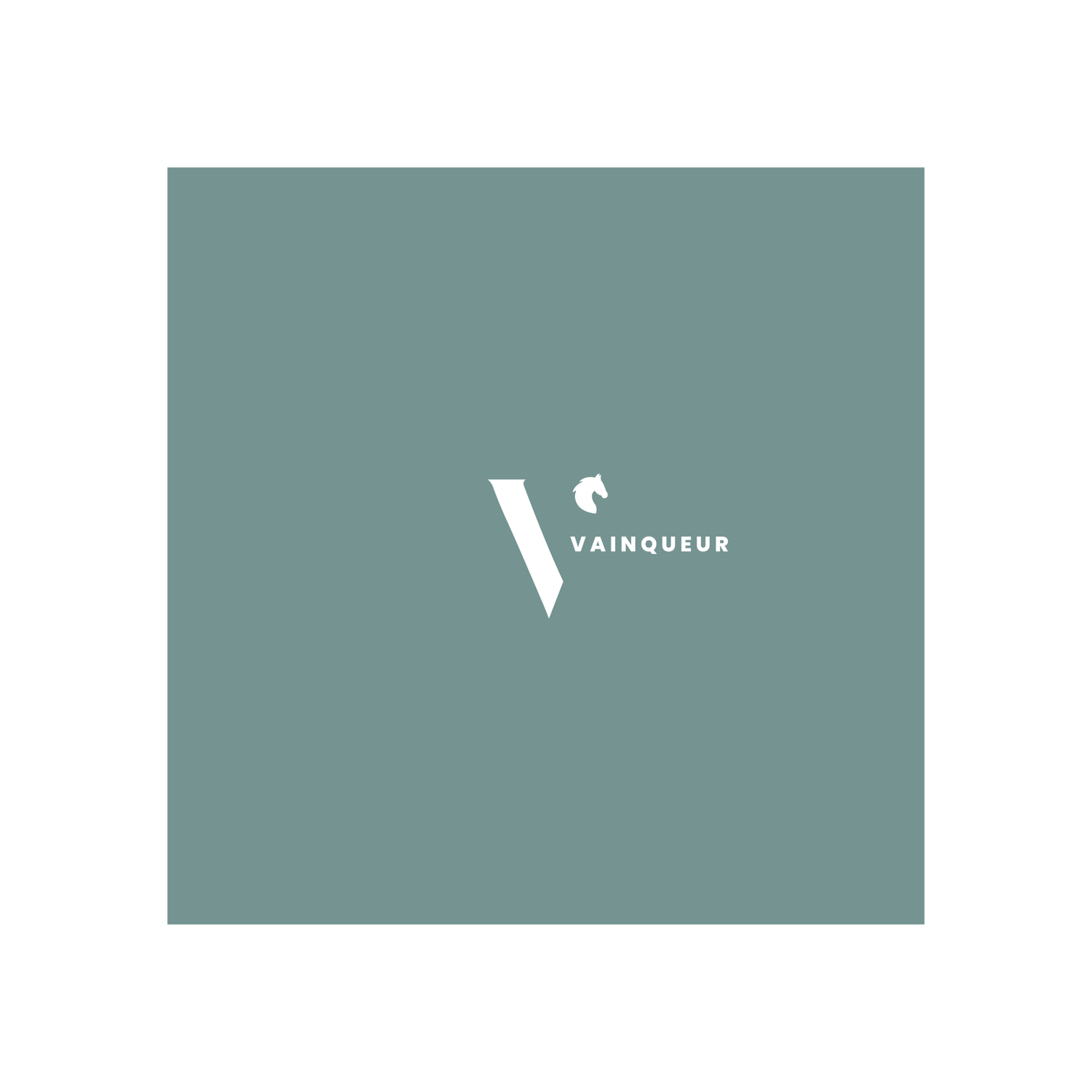 Vainqueur project image