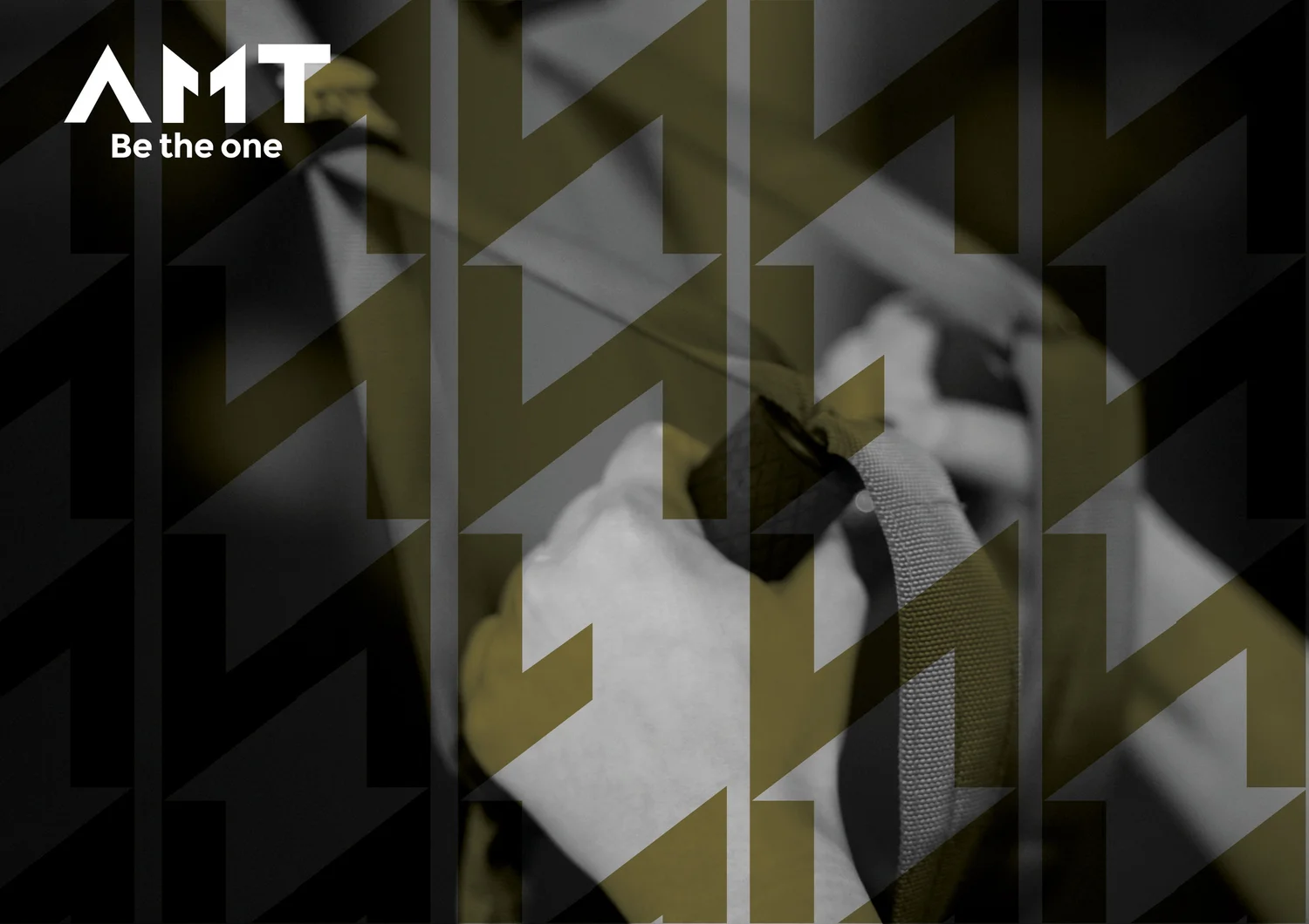 AMT project image