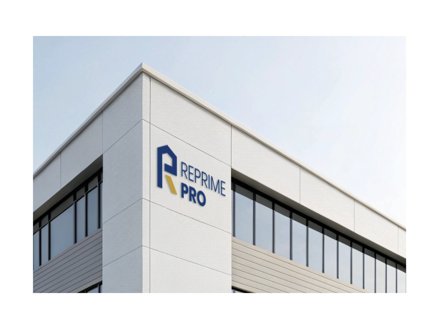 ReprimePro project image