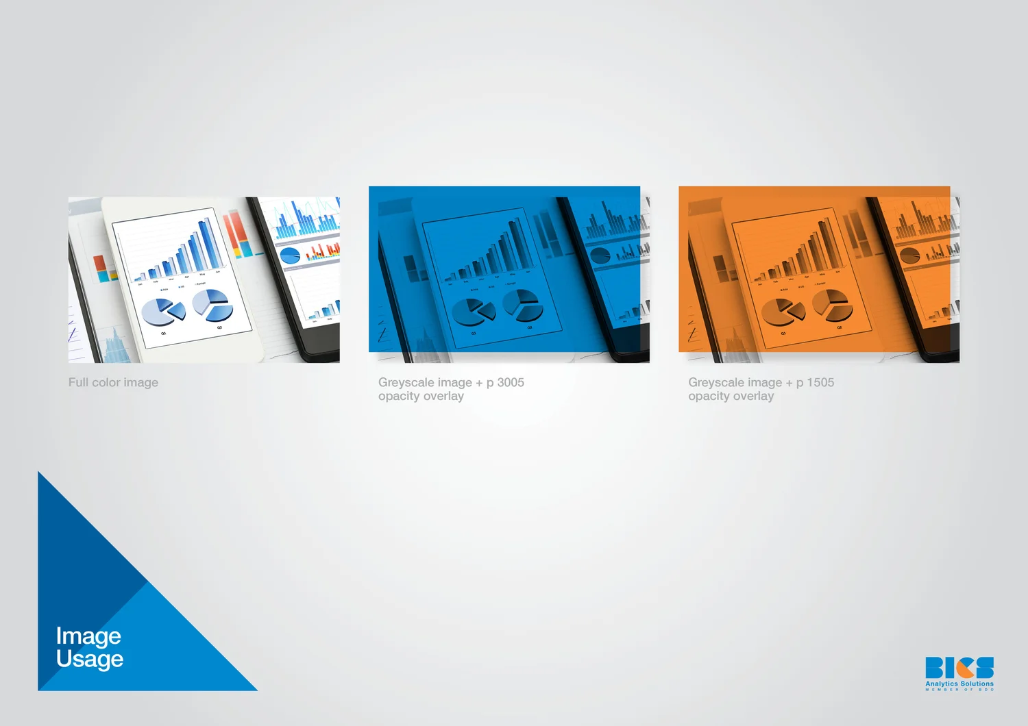 BICS project image