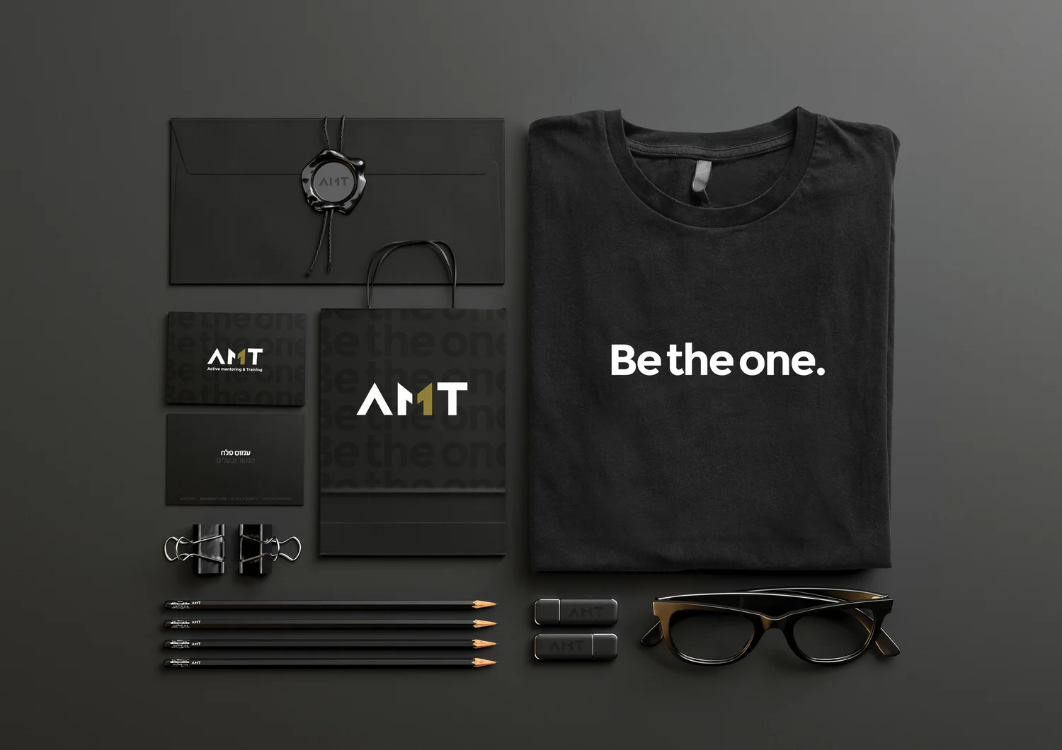 AMT project image