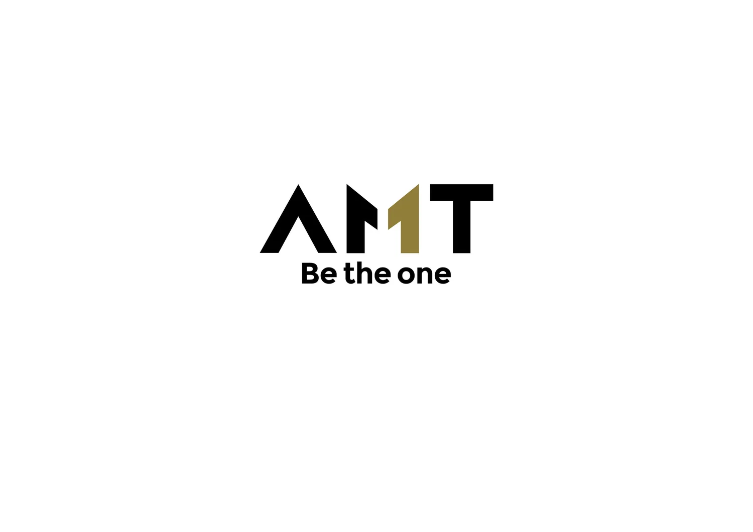 AMT project image