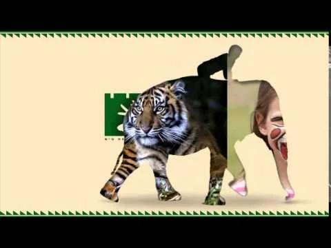 Video 52