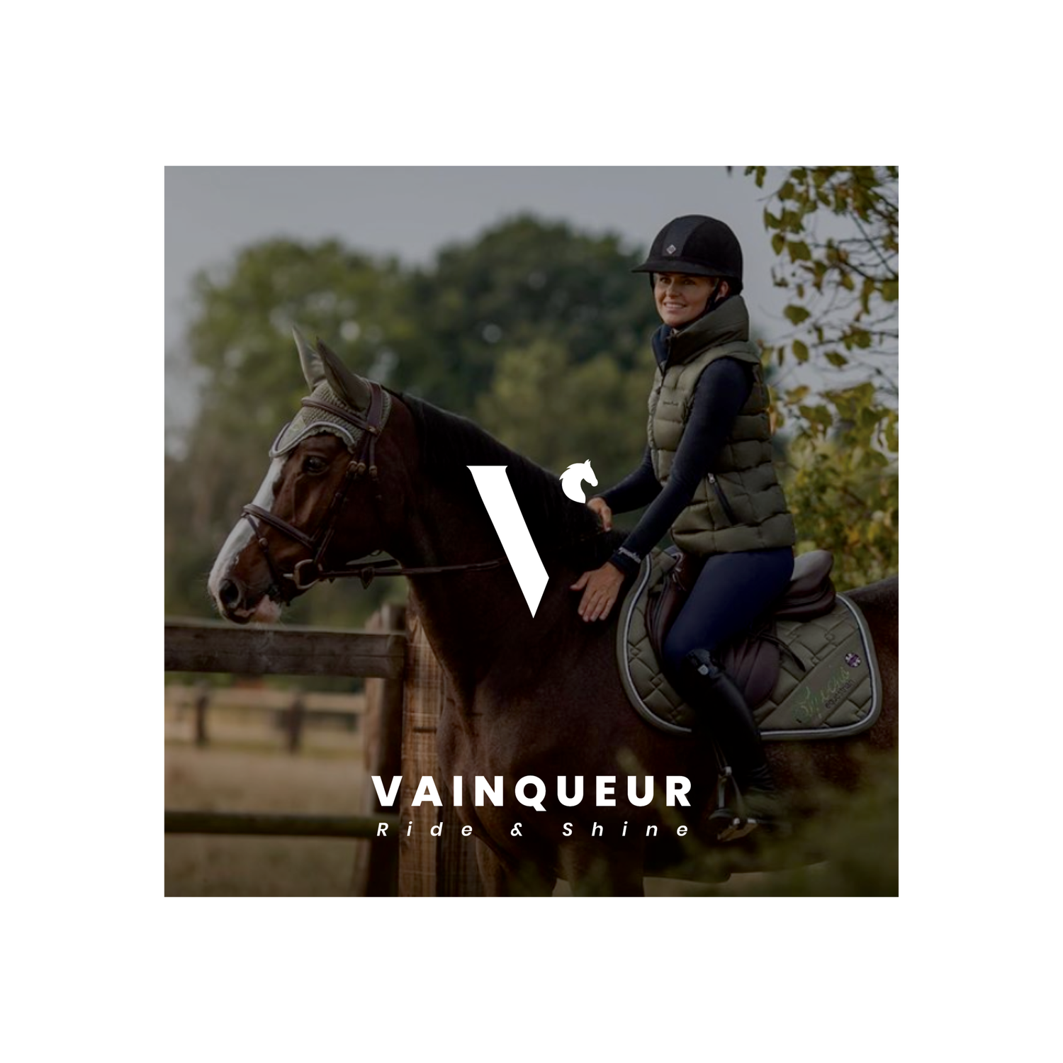 Vainqueur project image