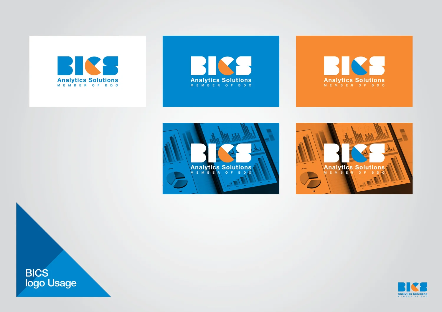 BICS project image
