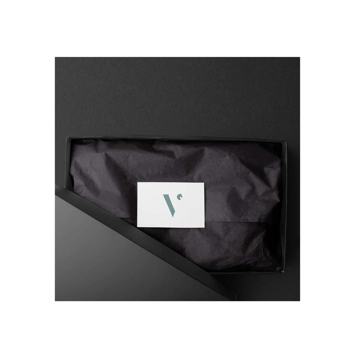 Vainqueur project image
