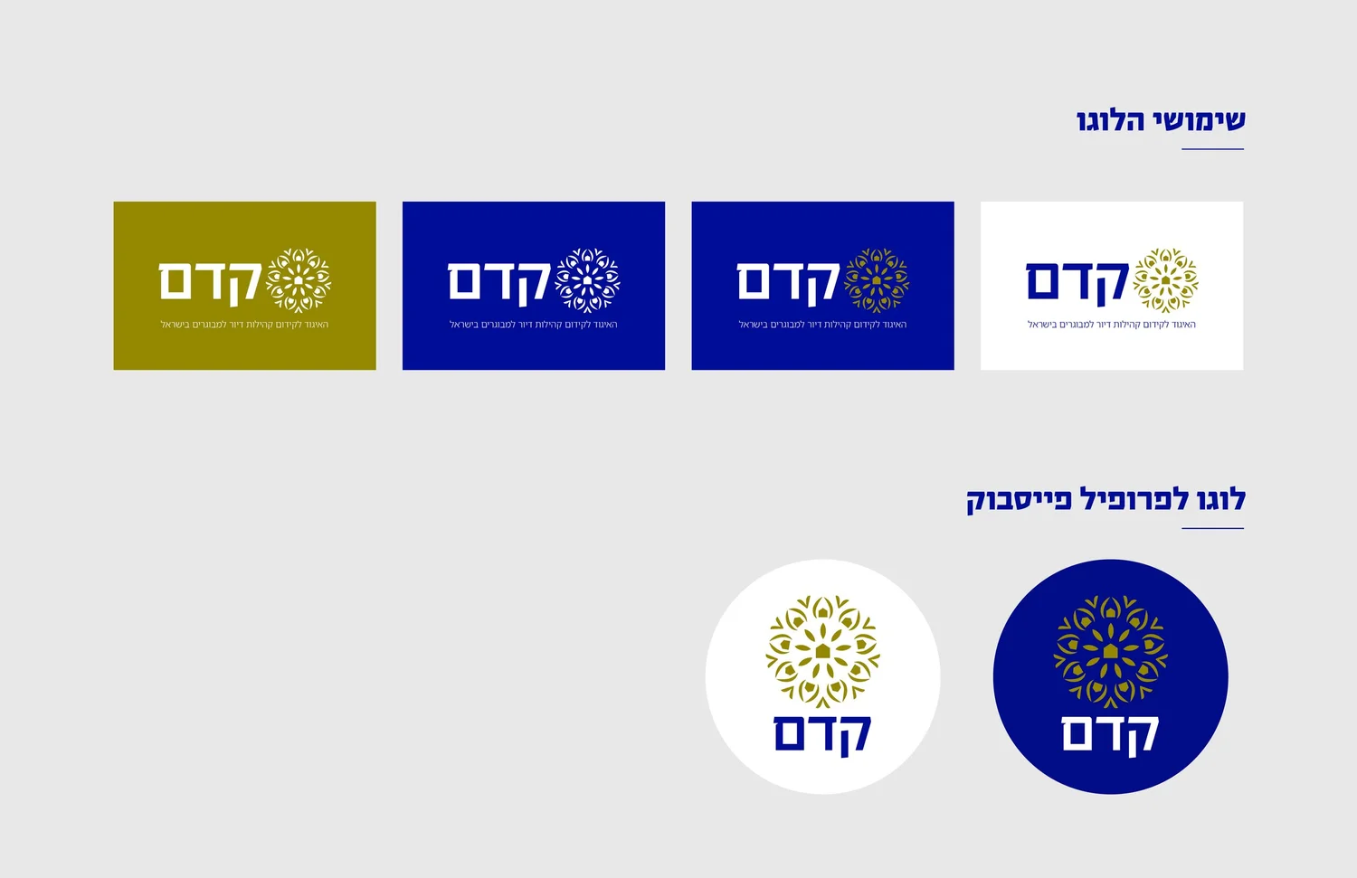 Kedem project image