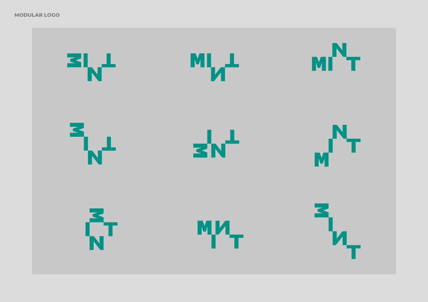 MINT project image