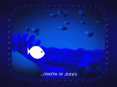 Video 7