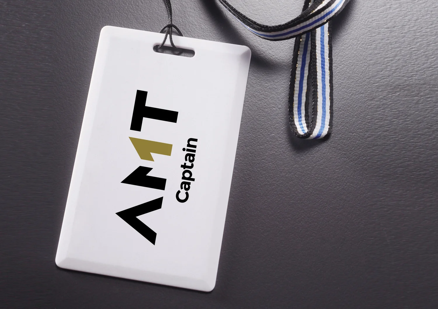 AMT project image