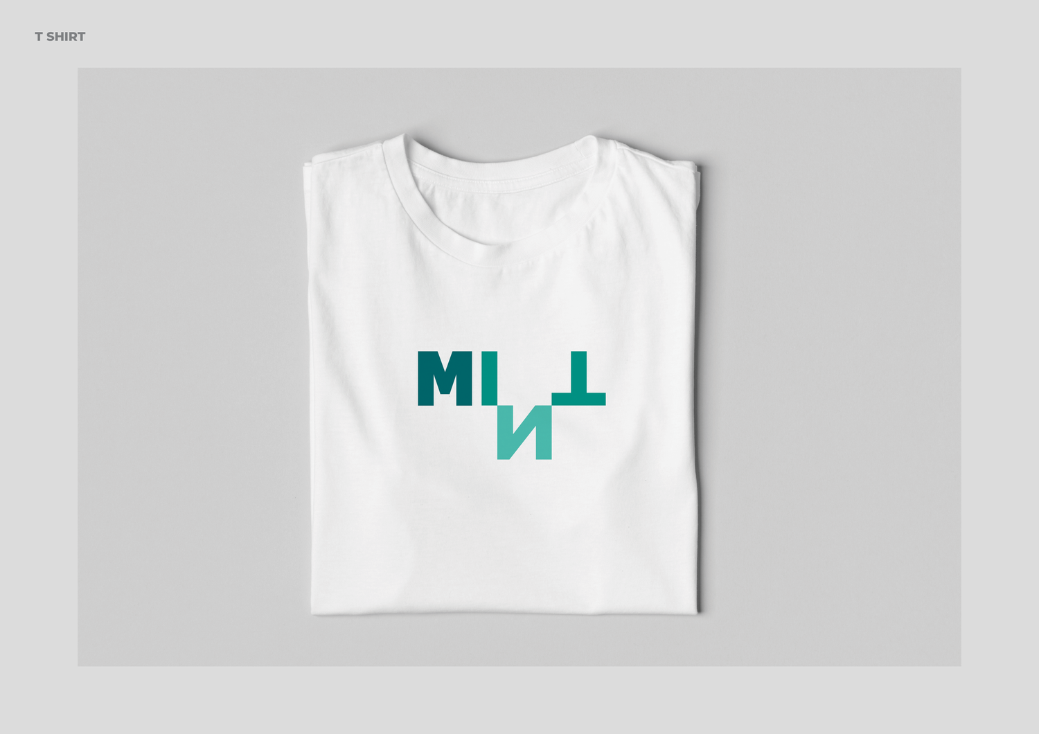 MINT project image