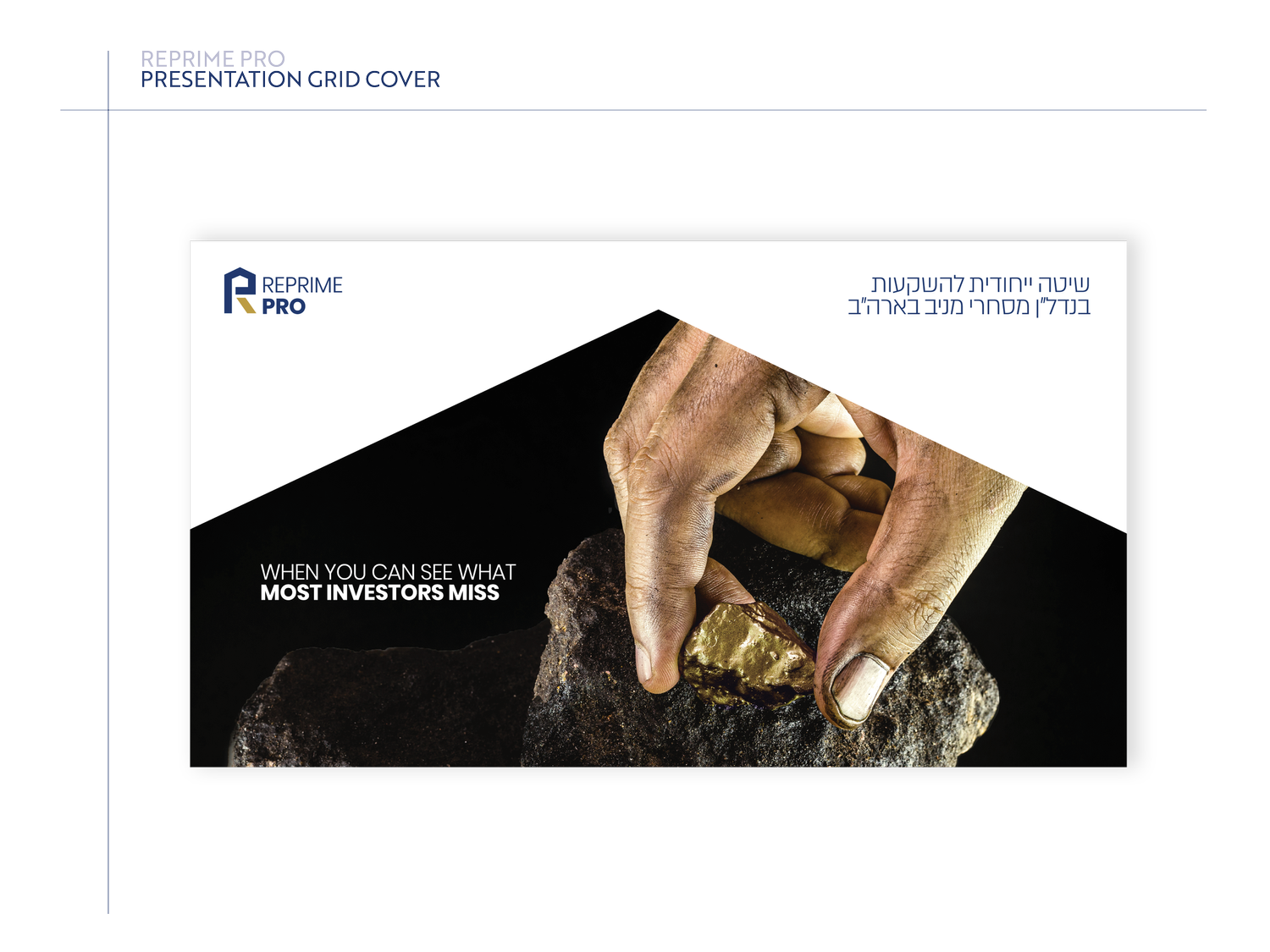 ReprimePro project image