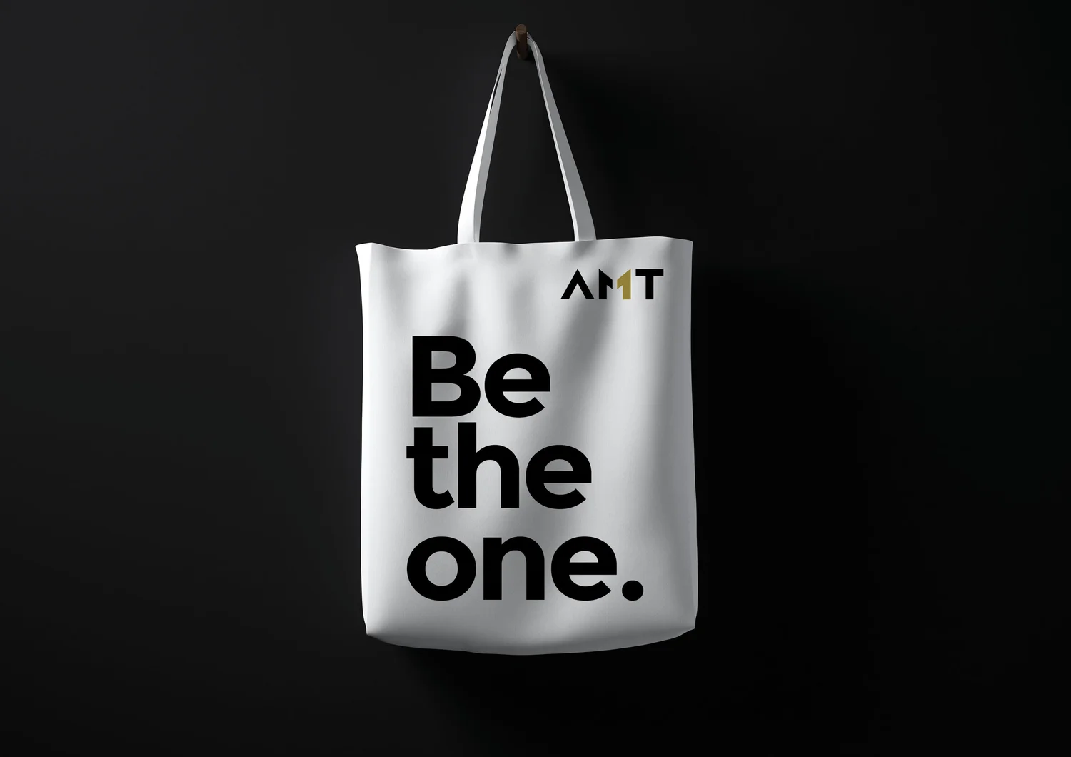 AMT project image